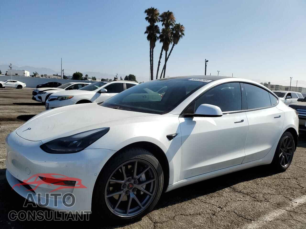 TESLA MODEL 3 2021 - 5YJ3E1EA4MF074809