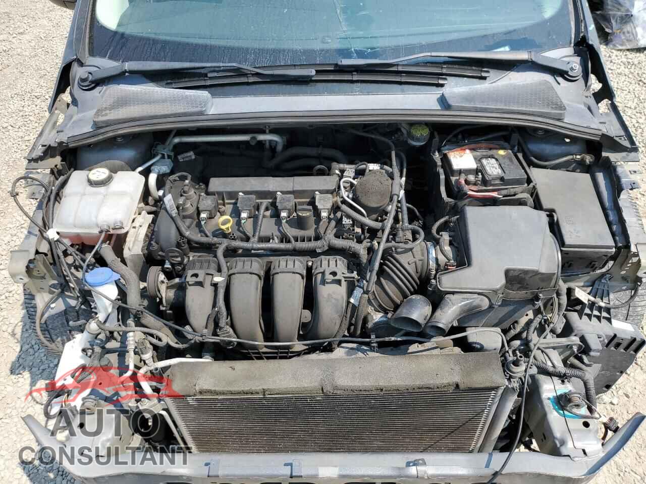 FORD FOCUS 2015 - 1FADP3K29FL294167