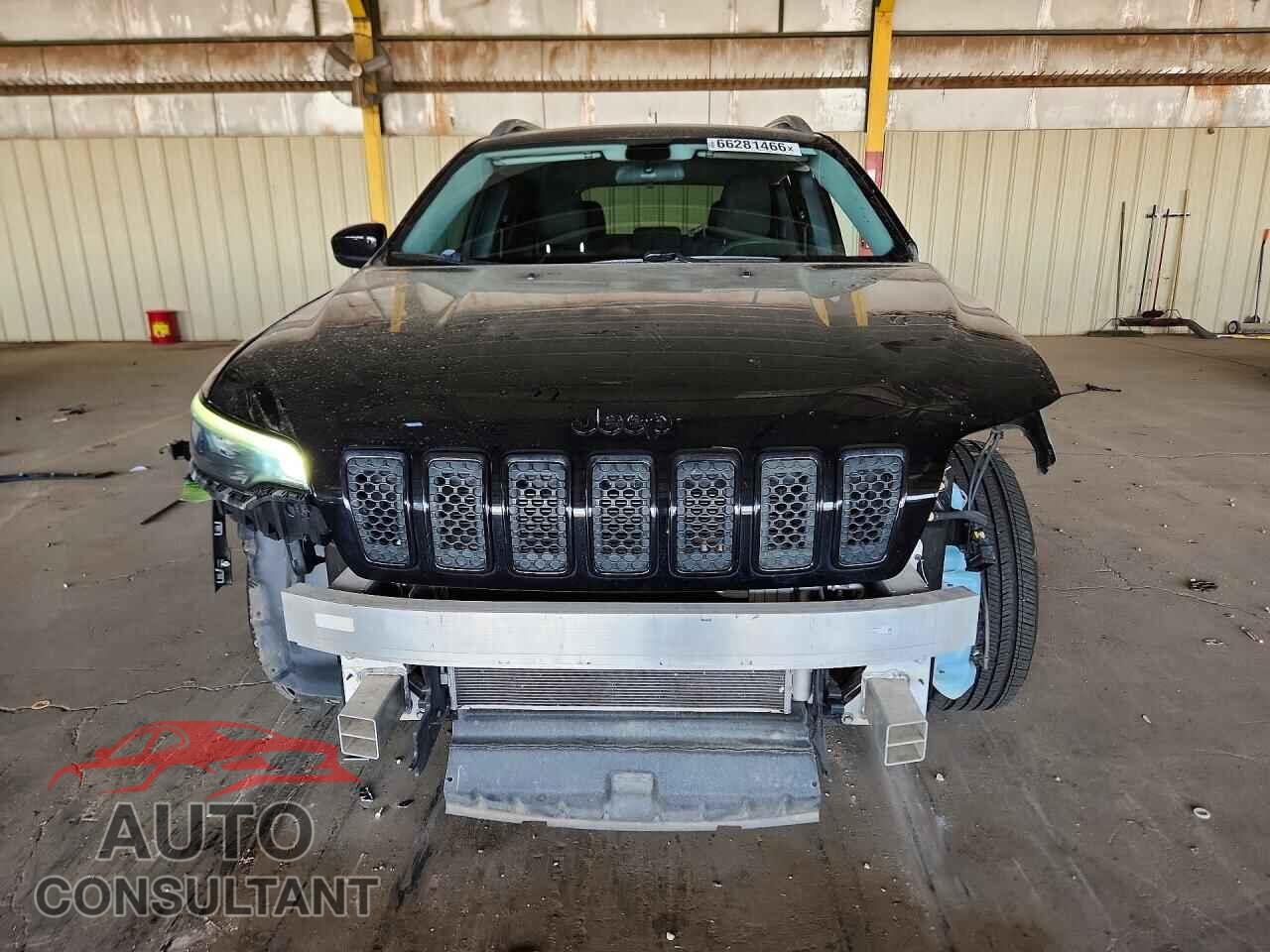 JEEP CHEROKEE 2019 - 1C4PJLCB1KD392475