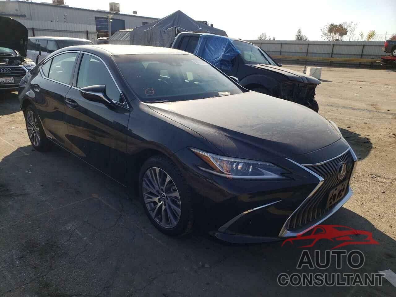 LEXUS ES300 2021 - 58ADA1C19MU012384