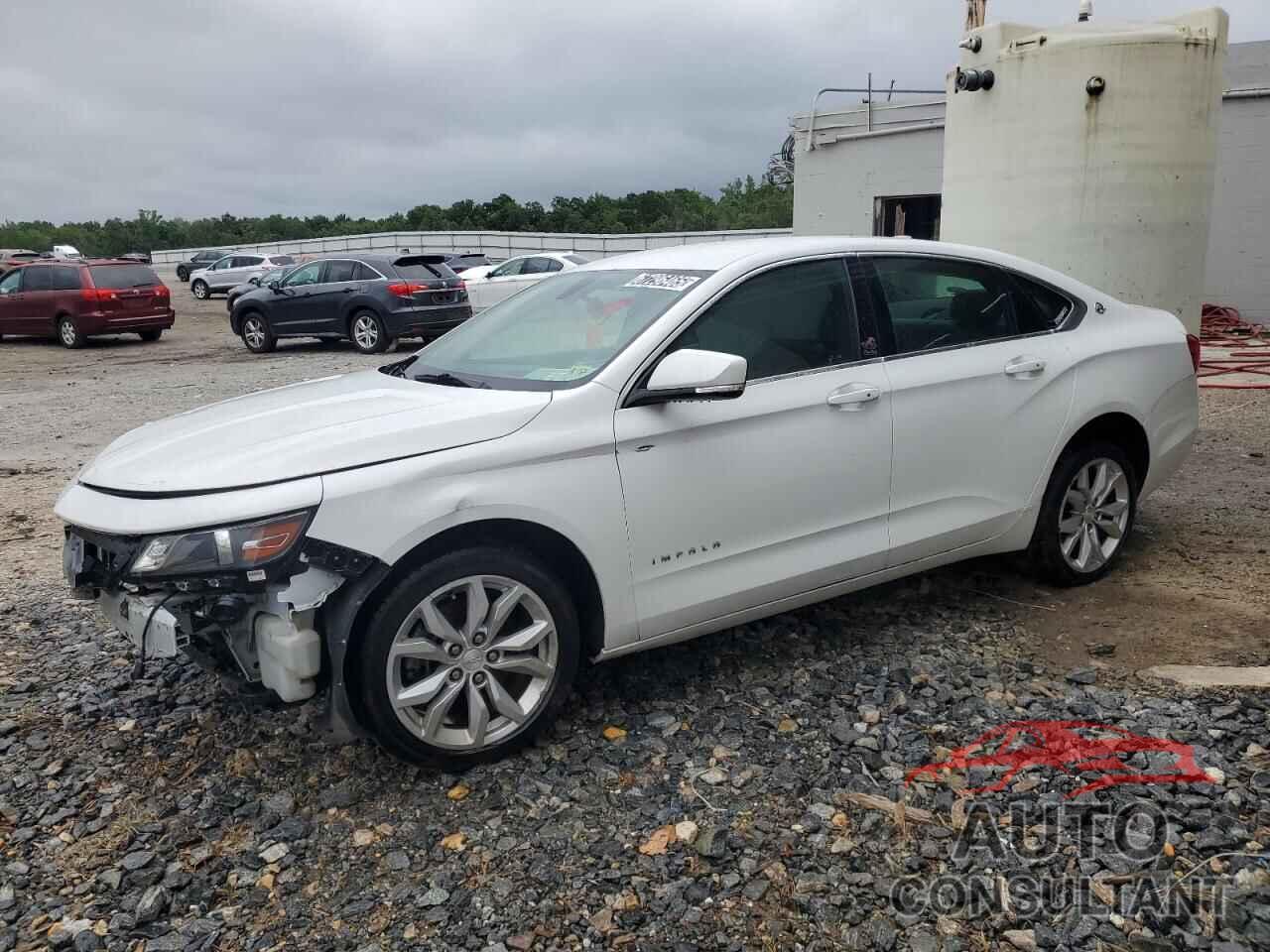CHEVROLET IMPALA 2019 - 1G11Z5S34KU116241