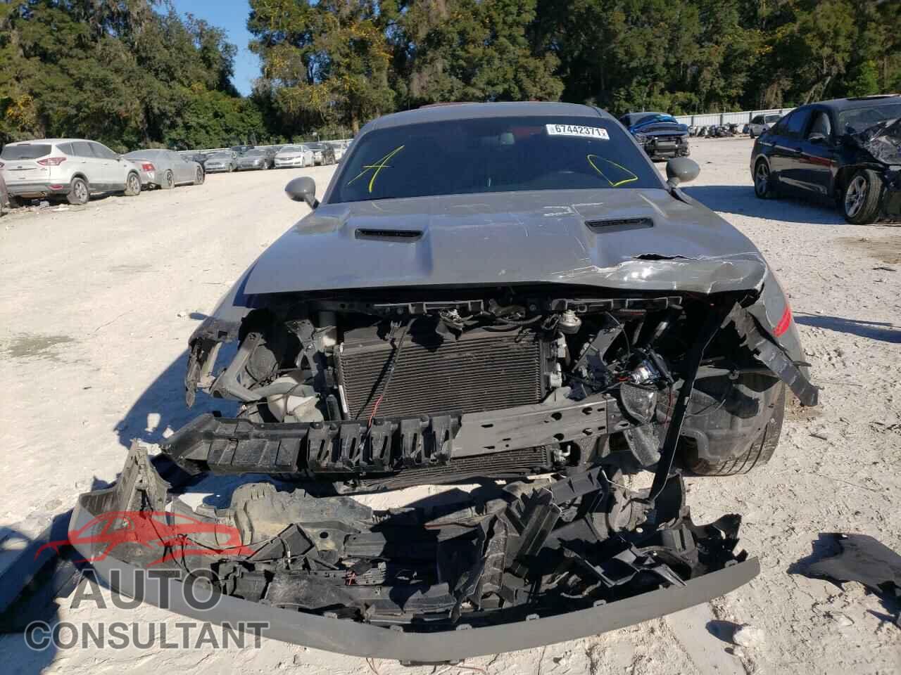 DODGE CHALLENGER 2019 - 2C3CDZGG1KH691728