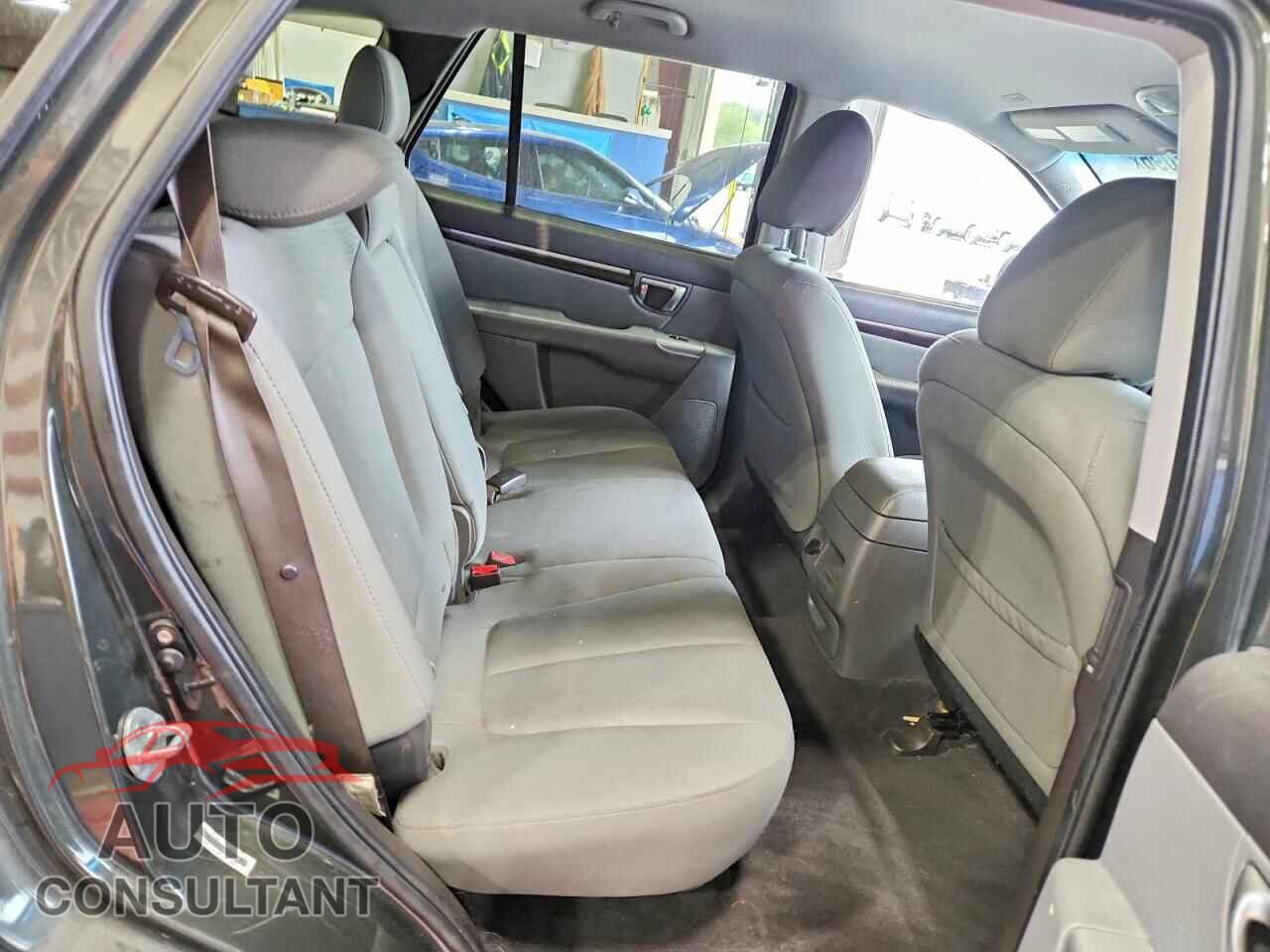 HYUNDAI SANTA FE 2010 - 5NMSGDAB9AH407991