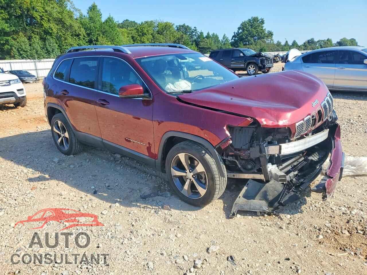 JEEP CHEROKEE 2019 - 1C4PJLDB1KD154088