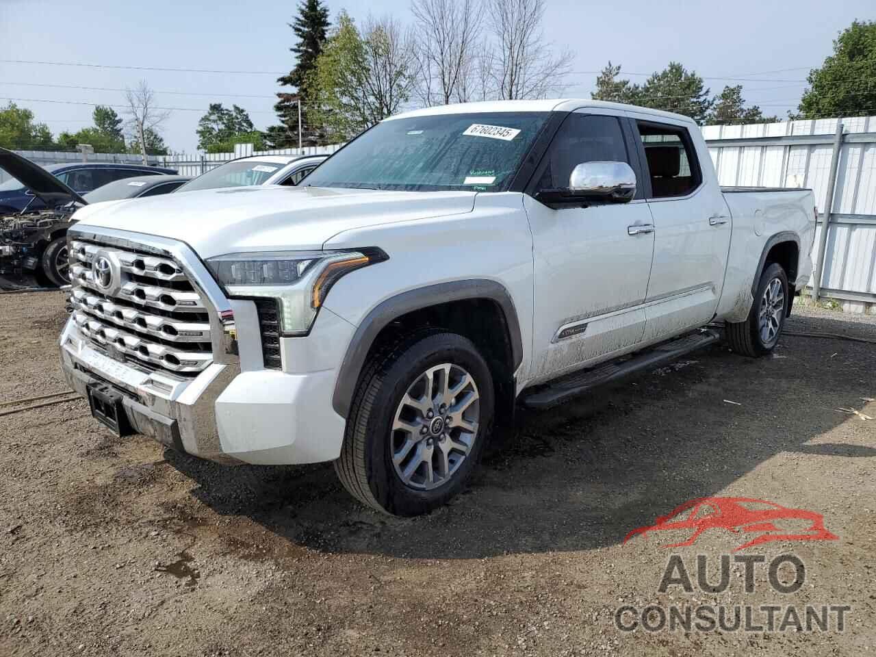 TOYOTA TUNDRA 2024 - 5TFMA5EC2RX028692