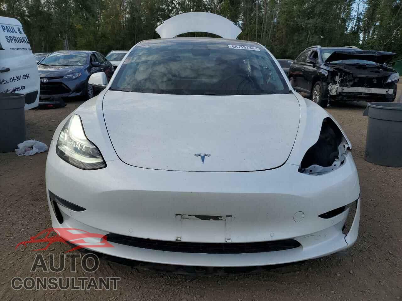 TESLA MODEL 3 2019 - 5YJ3E1EA2KF428050