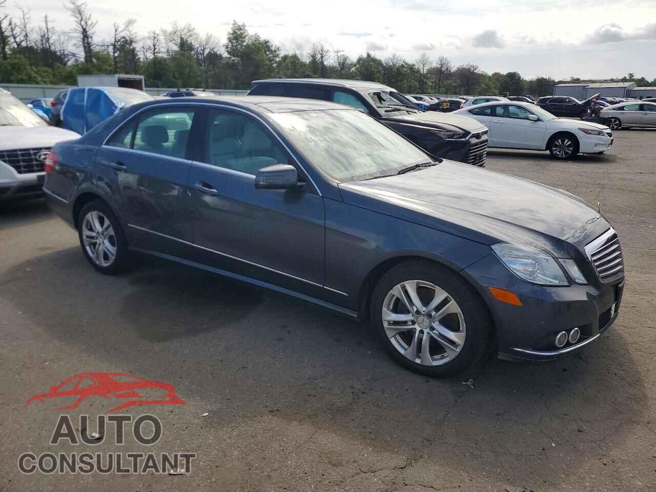 MERCEDES-BENZ E-CLASS 2010 - WDDHF8HB0AA192351