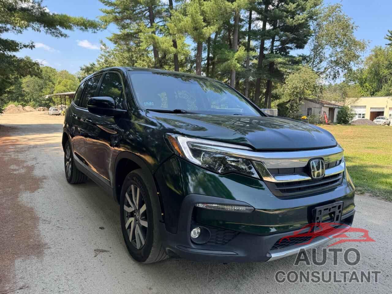 HONDA PILOT 2019 - 5FNYF6H58KB041341
