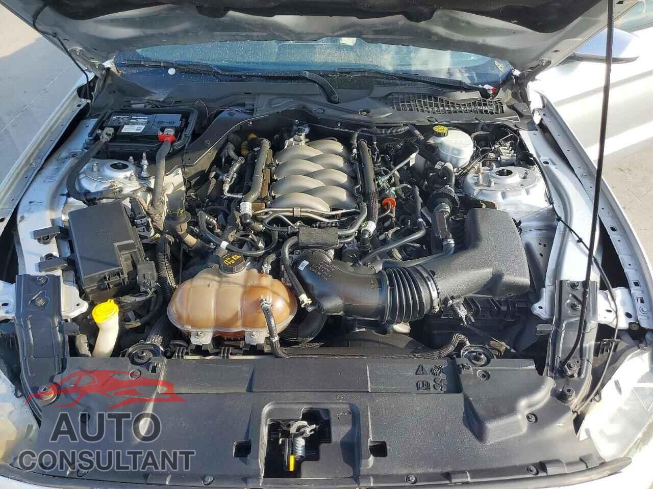 FORD MUSTANG 2019 - 1FA6P8CF1K5116081