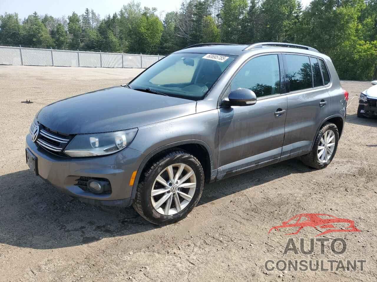 VOLKSWAGEN TIGUAN 2013 - WVGJV3AX3DW587909