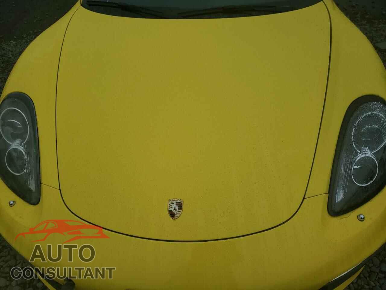 PORSCHE BOXSTER 2013 - WP0CB2A8XDS134001