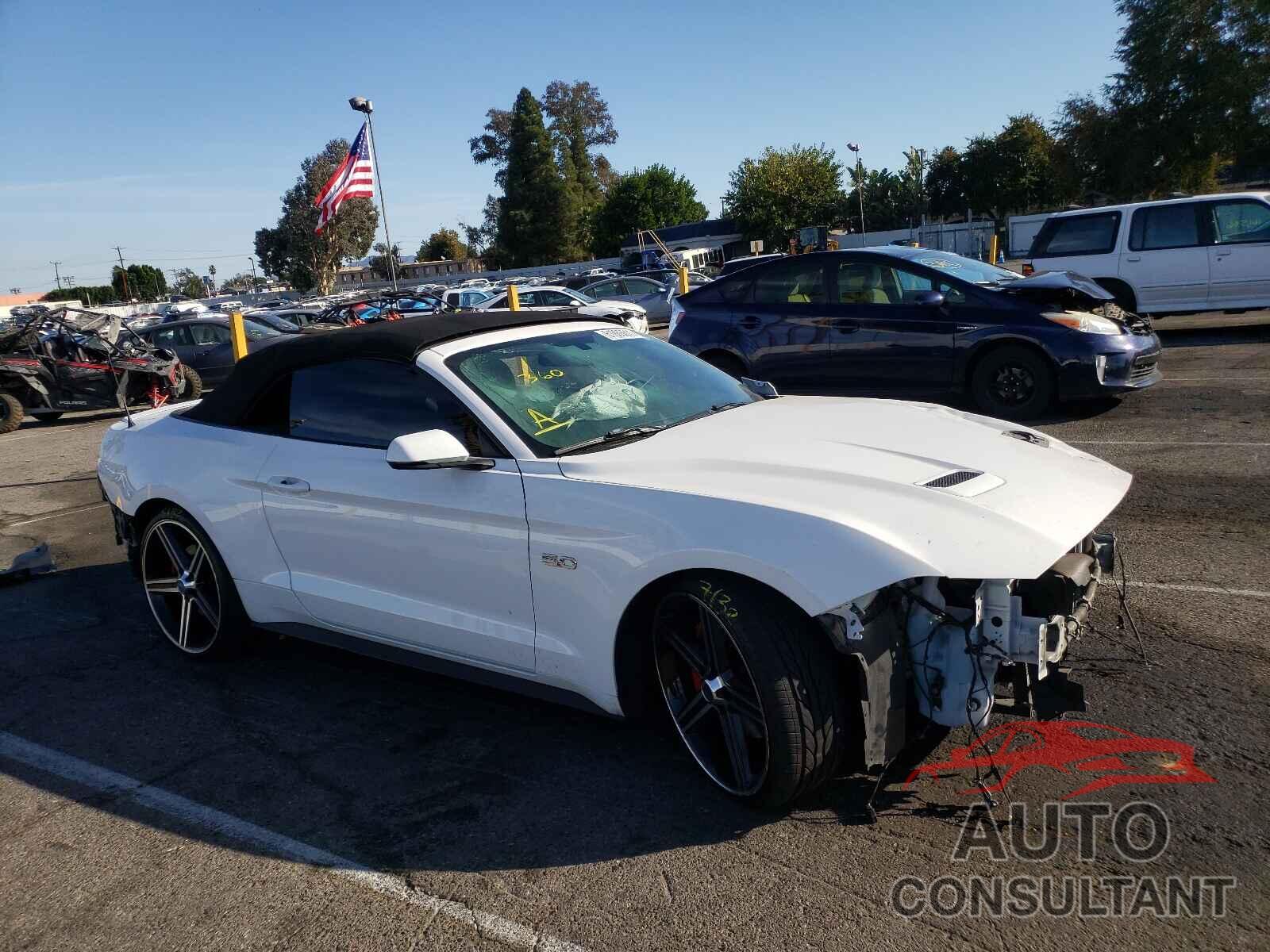 FORD MUSTANG 2019 - 1FATP8FF1K5158345
