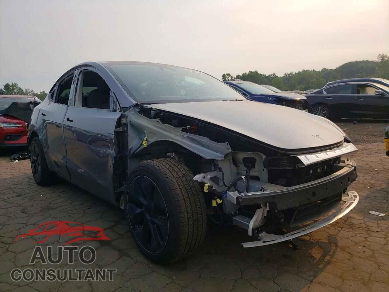TESLA MODEL Y 2024 - 7SAYGAEE3RF194761