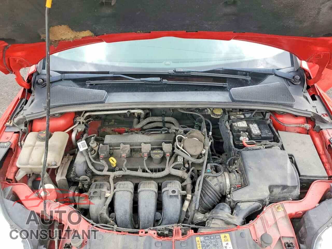 FORD FOCUS 2014 - 1FADP3K23EL319319