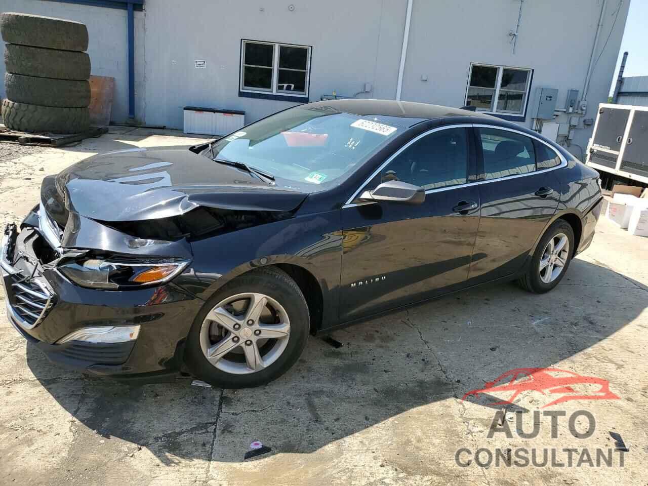 CHEVROLET MALIBU 2019 - 1G1ZB5ST2KF131817