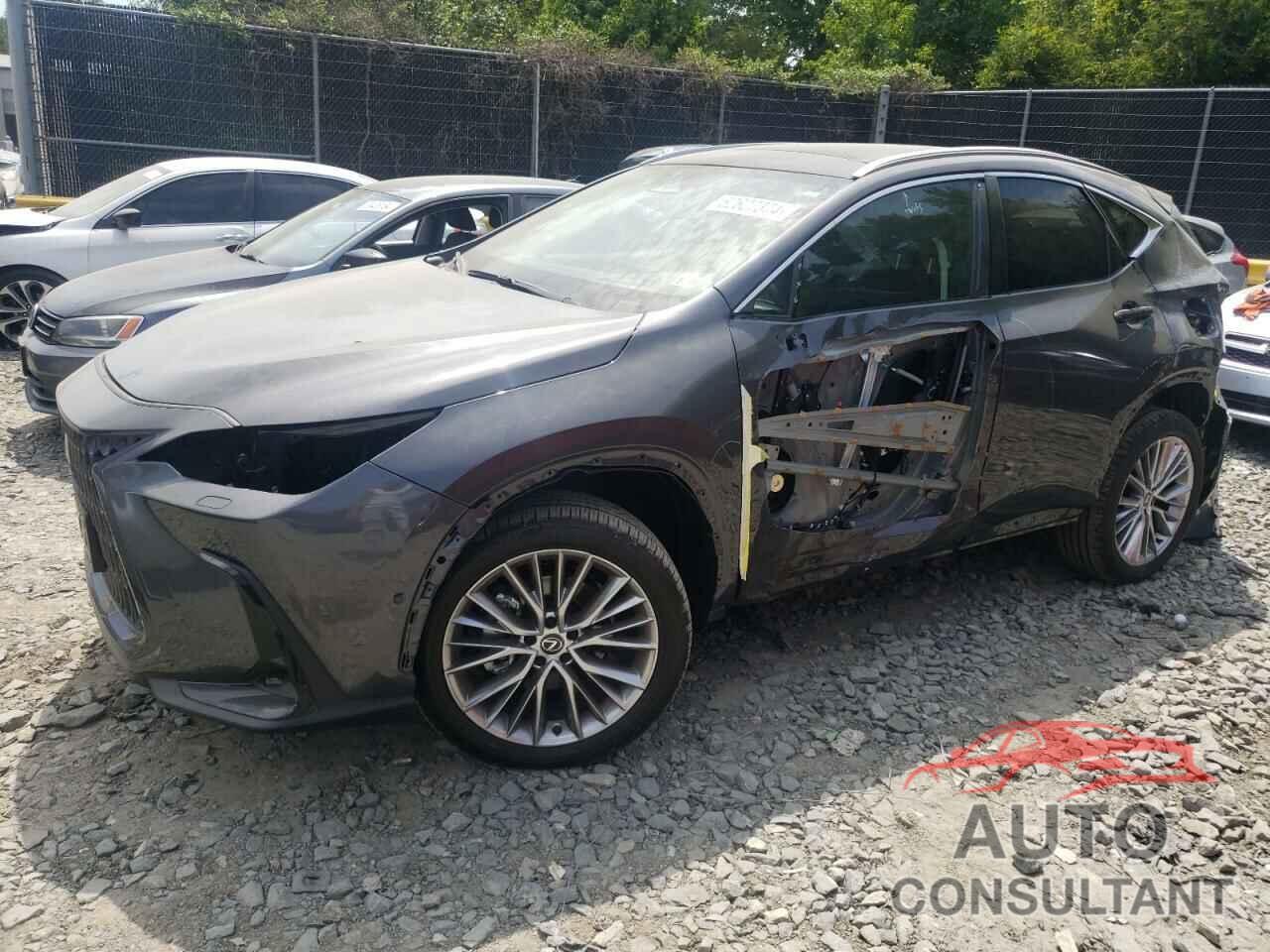 LEXUS NX 350 LUX 2025 - 2T2HGCEZ2SC060566