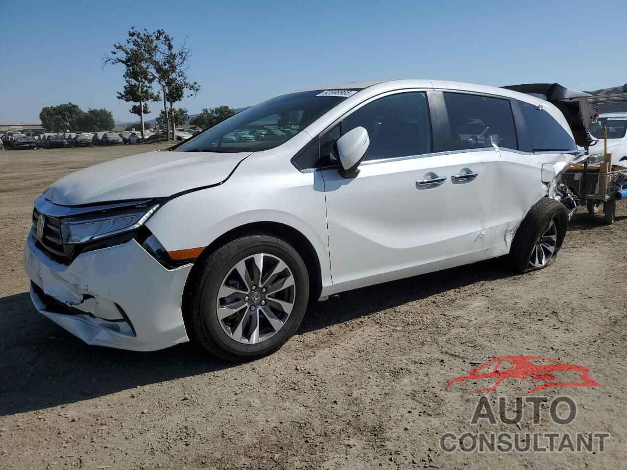 HONDA All Models 2024 - 5FNRL6H6XRB069495