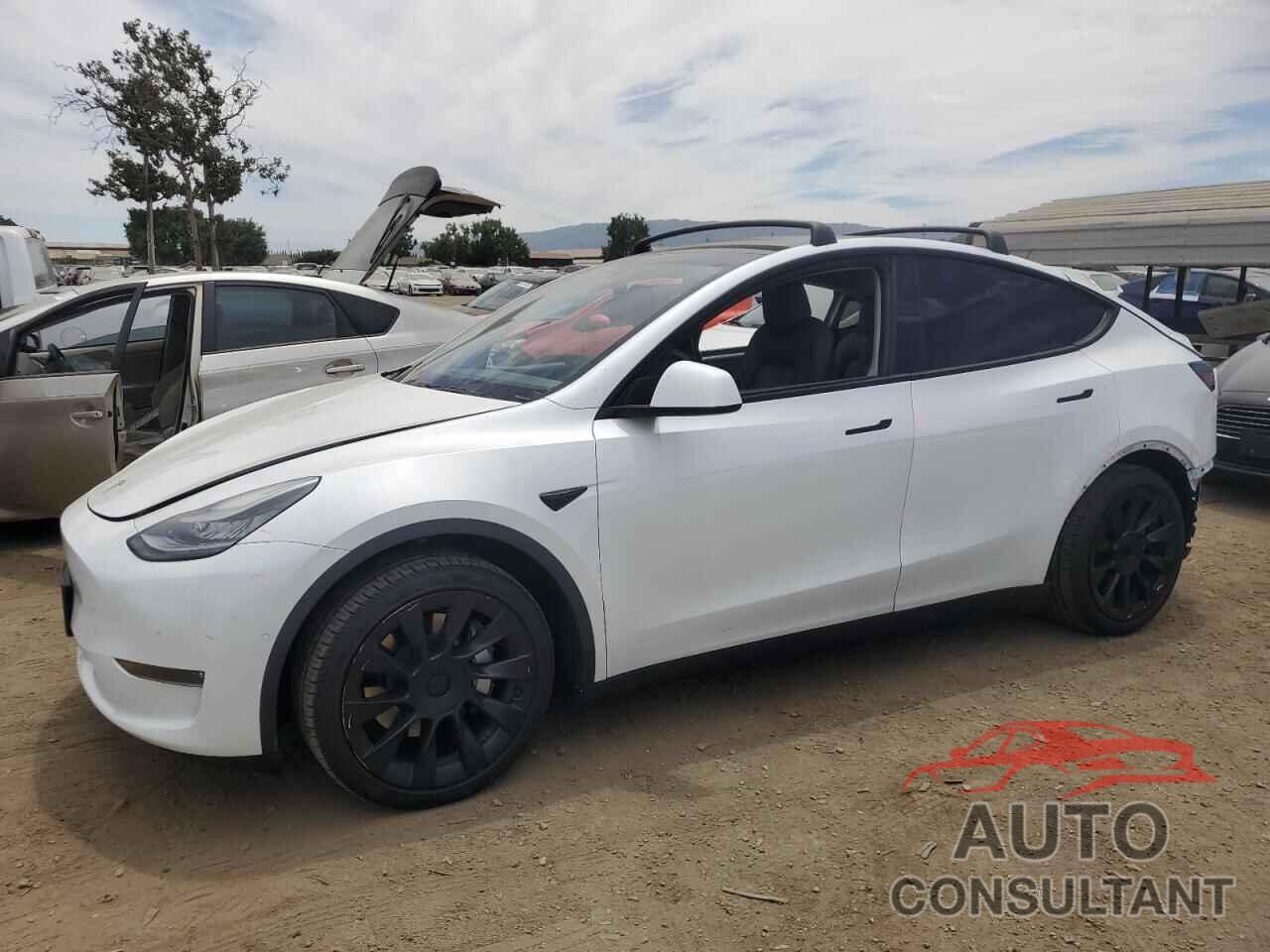 TESLA MODEL Y 2020 - 5YJYGDEE5LF012855