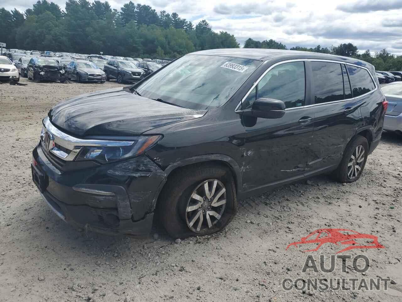 HONDA PILOT 2019 - 5FNYF6H35KB074599
