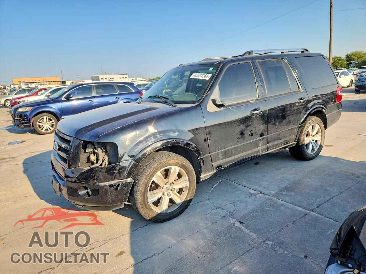 FORD EXPEDITION 2009 - 1FMFU20509EA96746
