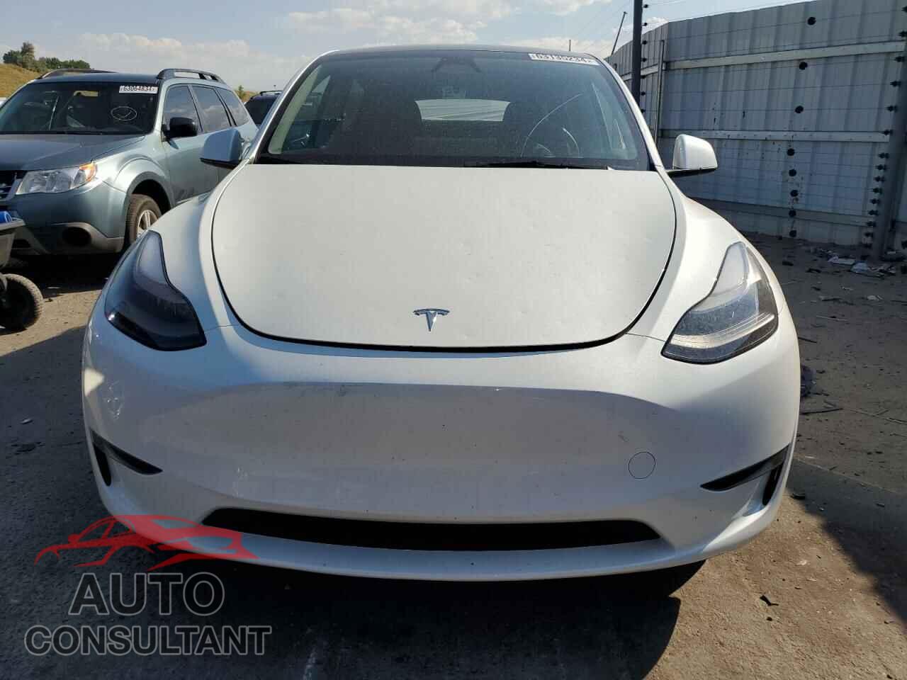 TESLA MODEL Y 2024 - 7SAYGAEE5RF048653