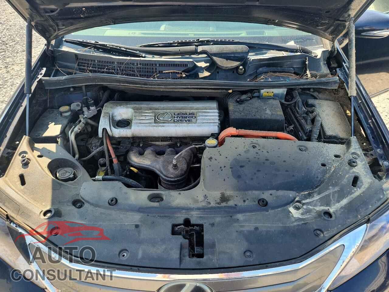 LEXUS HS 2010 - JTHBB1BA9A2009668