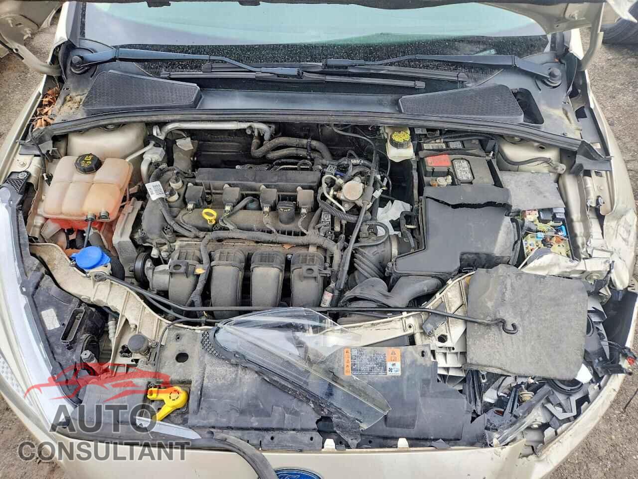 FORD FOCUS 2017 - 1FADP3F2XHL235335