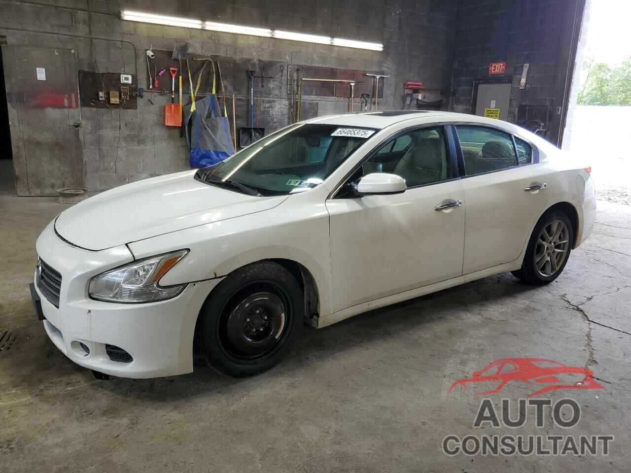 NISSAN MAXIMA 2010 - 1N4AA5AP4AC800915