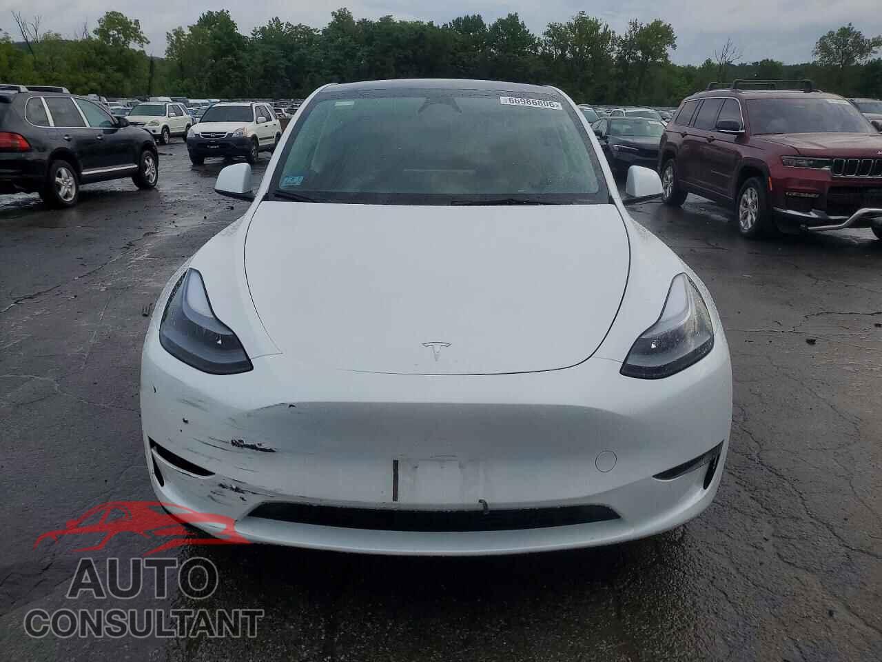 TESLA MODEL Y 2024 - 7SAYGAEE5RF161390