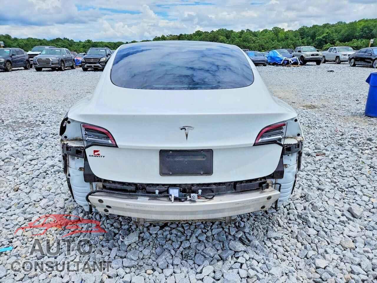 TESLA MODEL 3 2021 - 5YJ3E1EAXMF017787