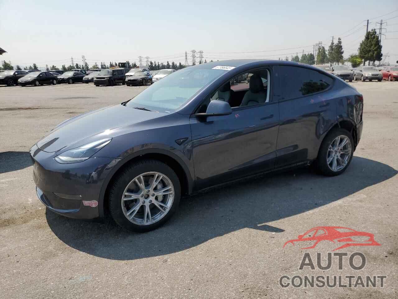 TESLA MODEL Y 2024 - 7SAYGDEE5RA233851