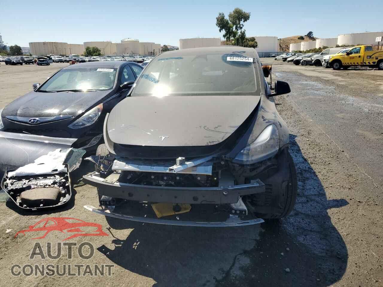 TESLA MODEL Y 2024 - 7SAYGDEEXRF985015