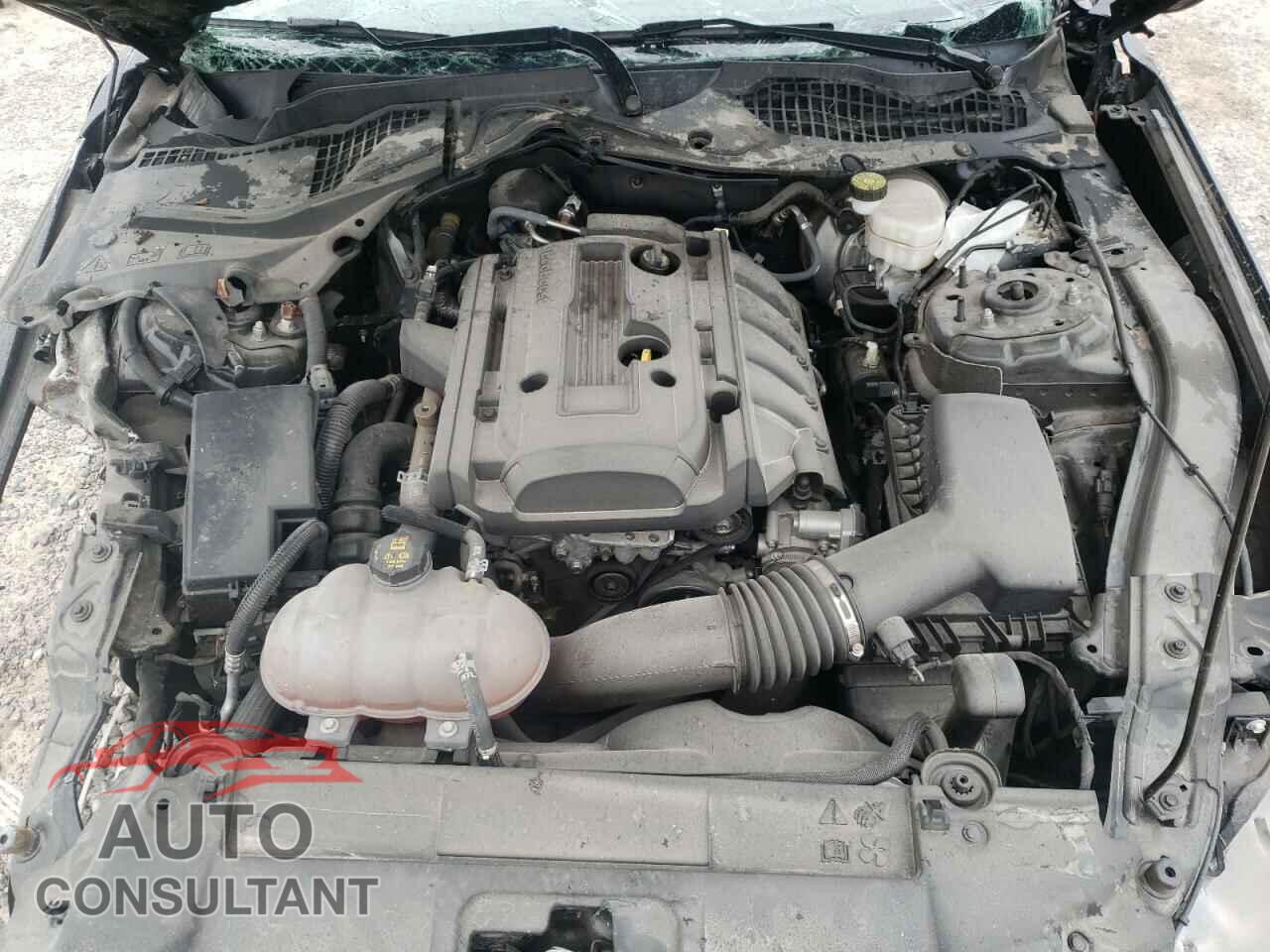 FORD MUSTANG 2019 - 1FA6P8TH9K5118226