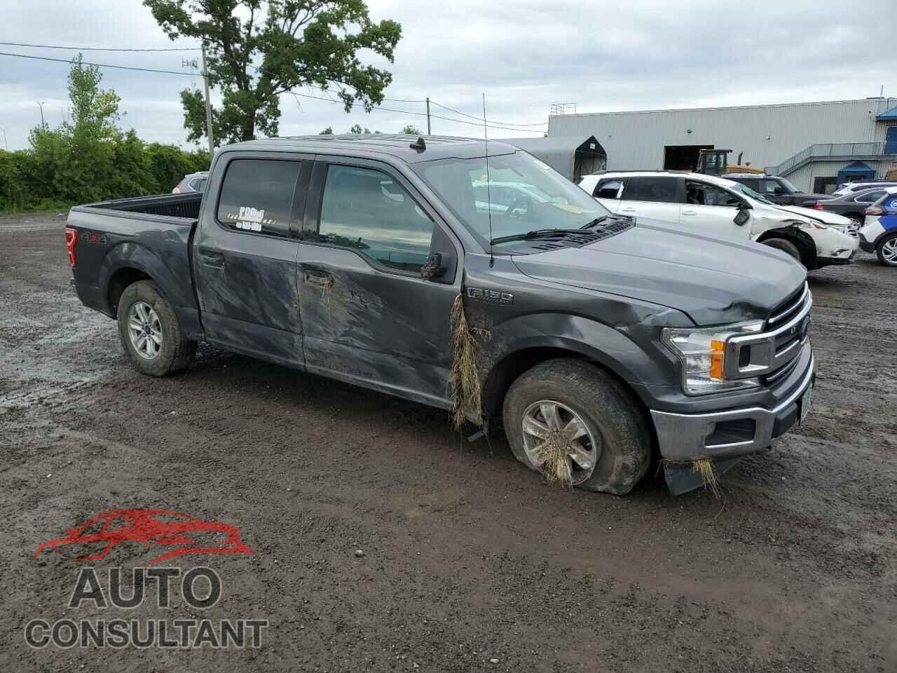 FORD F-150 2019 - 1FTEW1EP2KFA98299