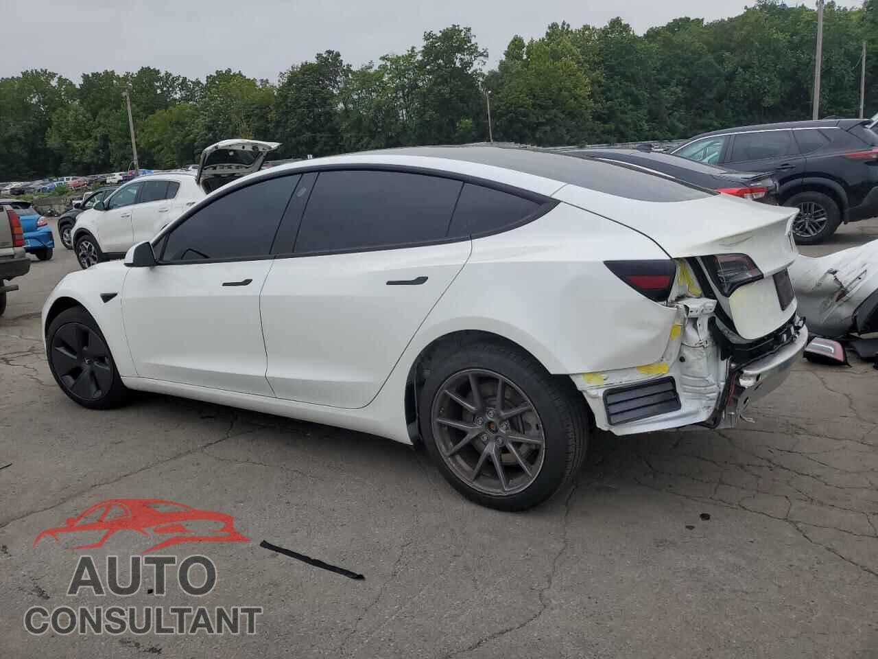 TESLA MODEL 3 2021 - 5YJ3E1EA1MF969013