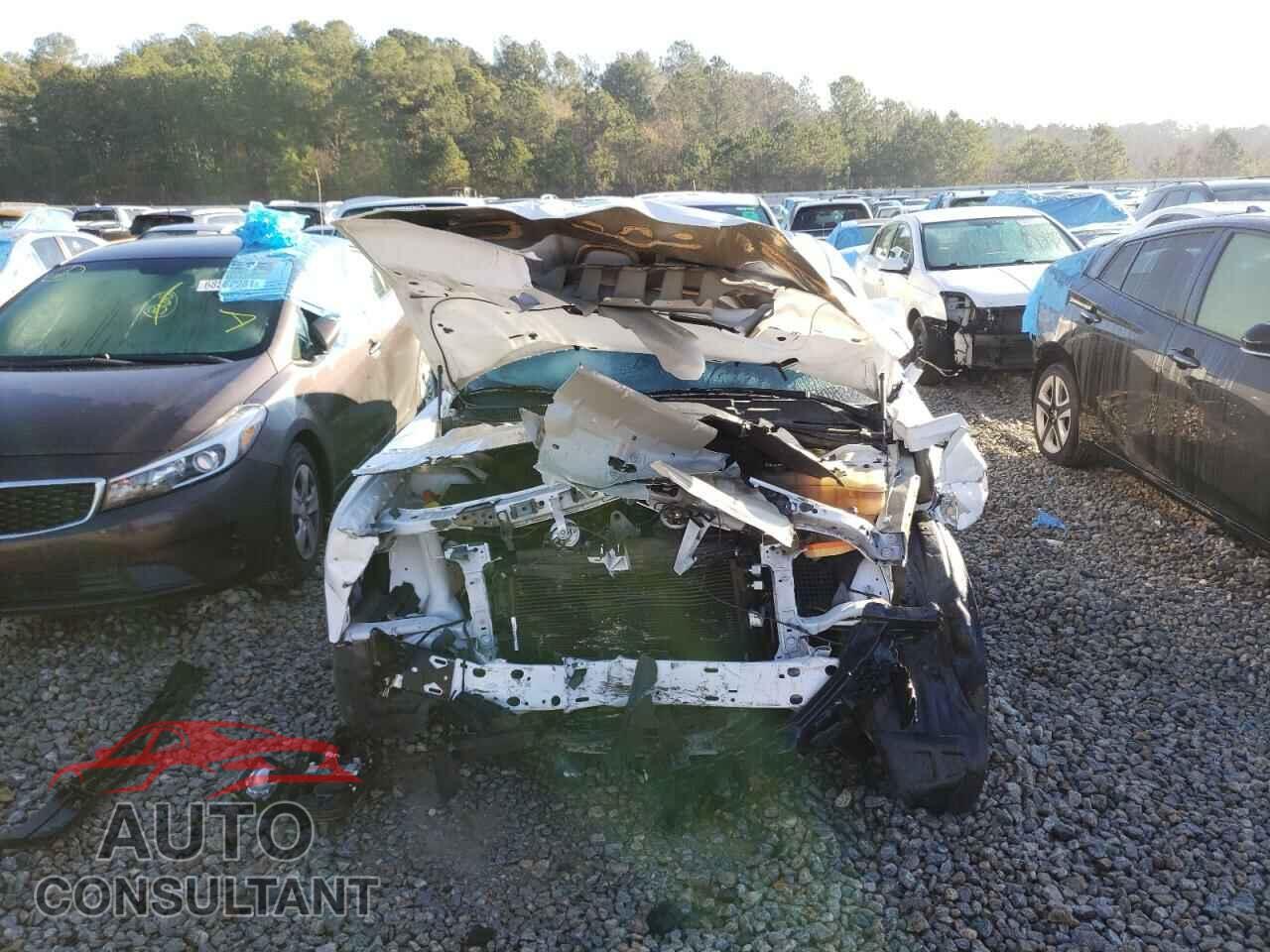DODGE CHALLENGER 2019 - 2C3CDZAG7KH642753
