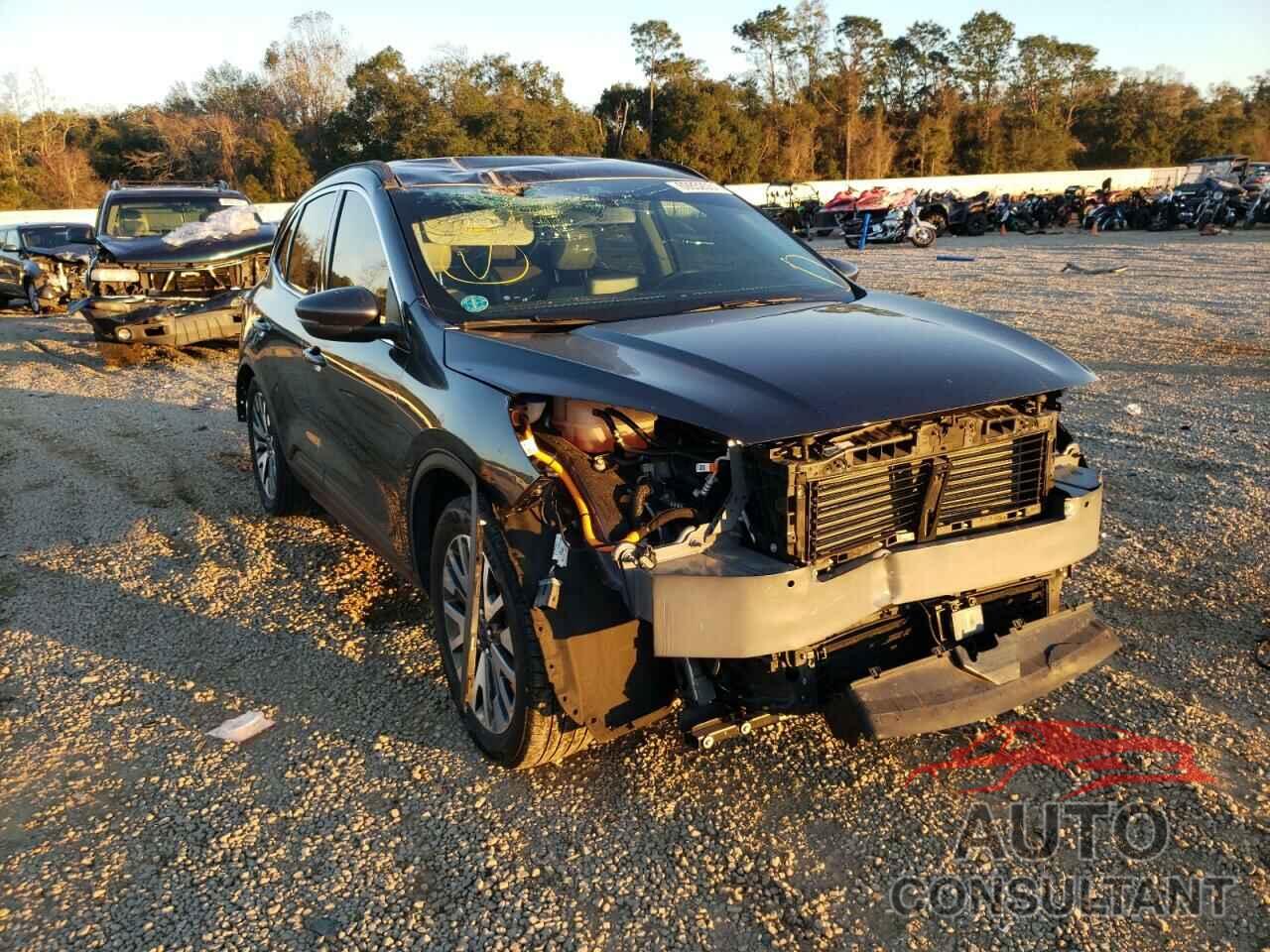 FORD ESCAPE 2020 - 1FMCU0DZ6LUA06310