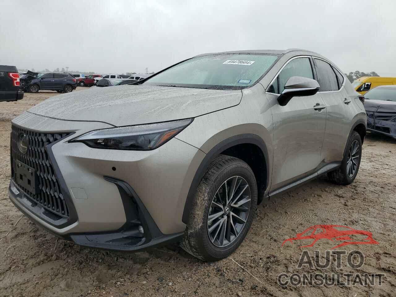 LEXUS NX 350 PRE 2024 - 2T2GGCEZ4RC038218