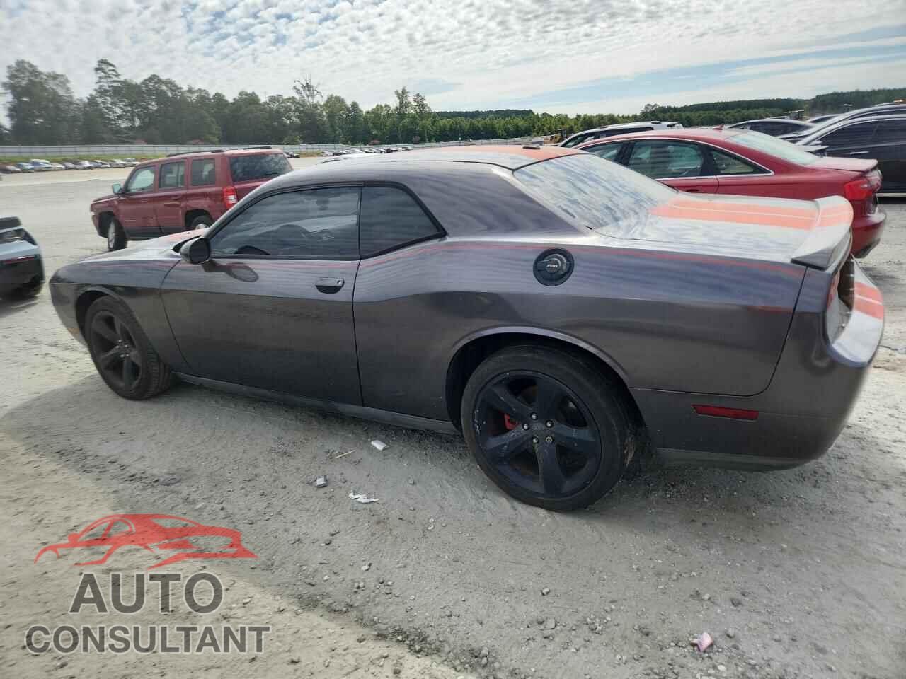 DODGE CHALLENGER 2013 - 2C3CDYAG2DH641507