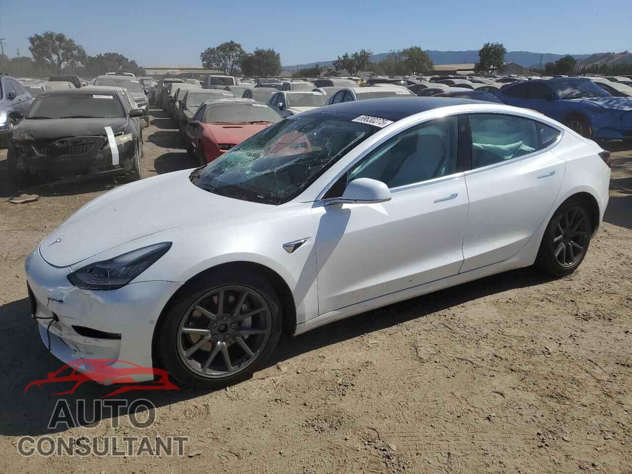 TESLA MODEL 3 2019 - 5YJ3E1EB0KF513235