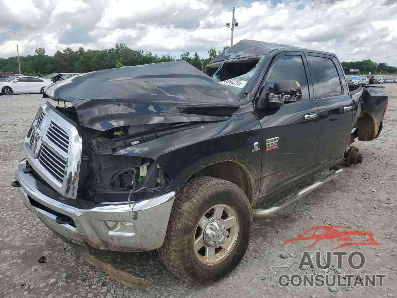 DODGE All Models 2010 - 3D7UT2CL9AG155255