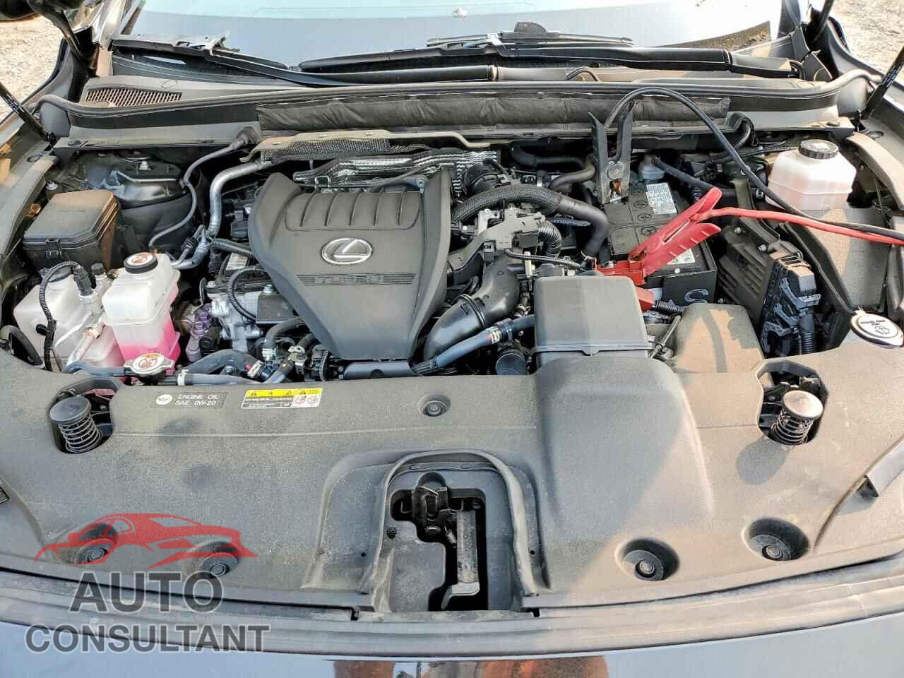 LEXUS RX350 2024 - 2T2BAMCA0RC047237