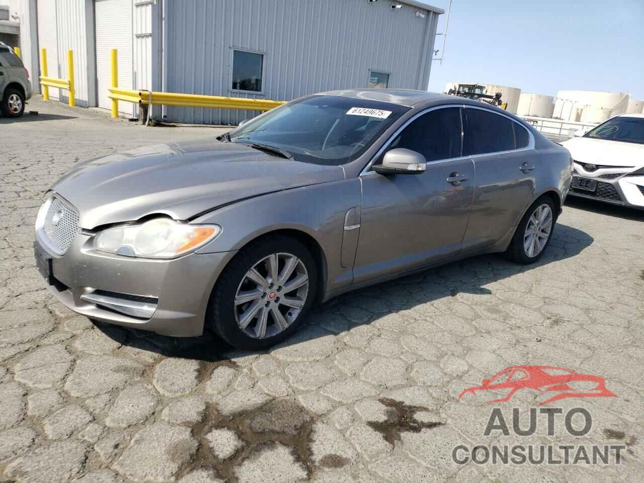 JAGUAR XF 2009 - SAJWA05B89HR13462