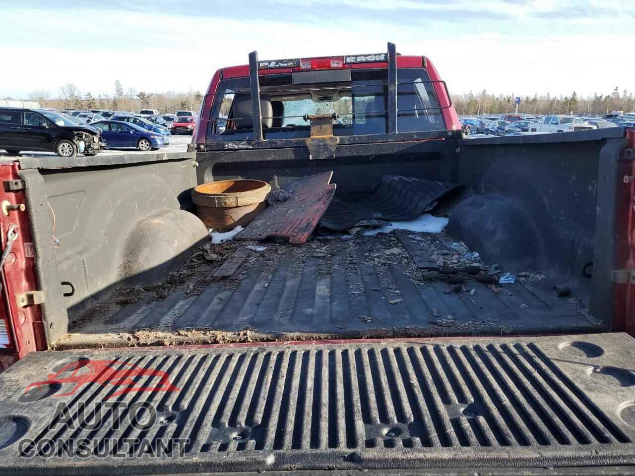 DODGE All Models 2011 - 1D7RV1CT6AS209842