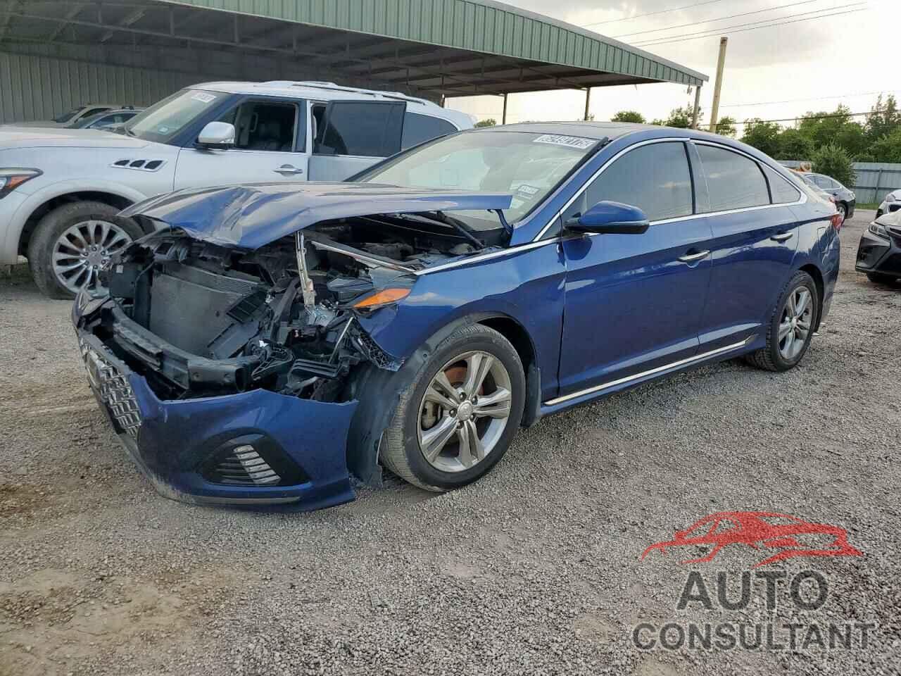 HYUNDAI SONATA 2019 - 5NPE34AF3KH759304
