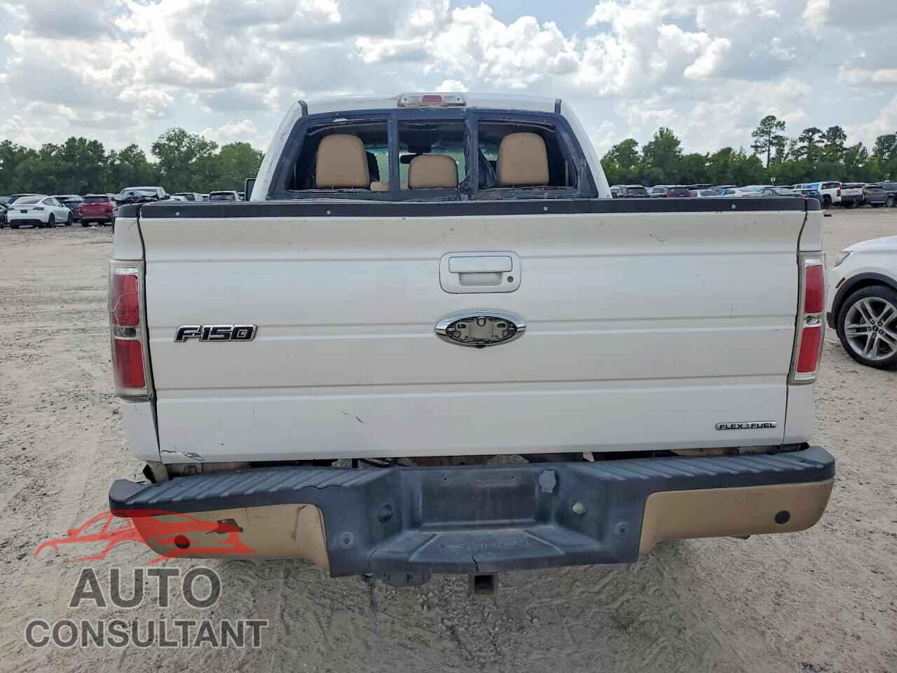 FORD F150 2011 - 1FTFW1CF3BFA40331