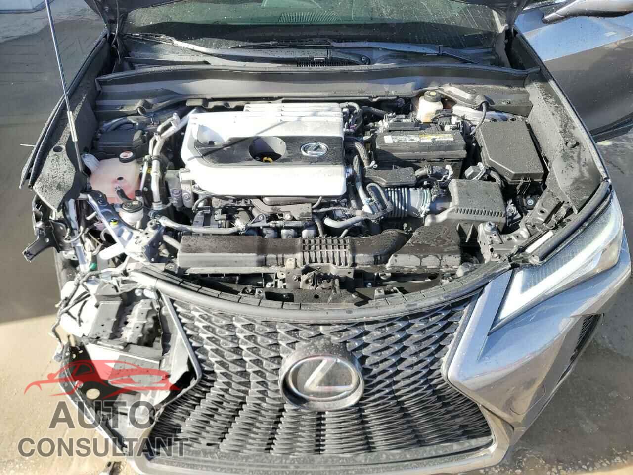 LEXUS UX 200 2019 - JTHY3JBH9K2007649