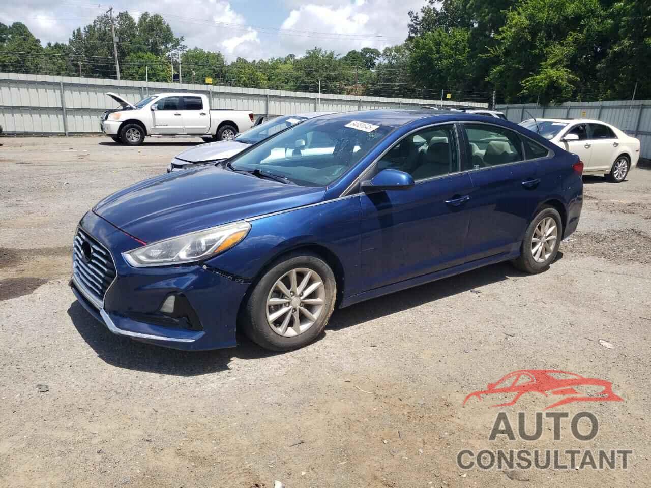 HYUNDAI SONATA 2019 - 5NPE24AA3KH774277
