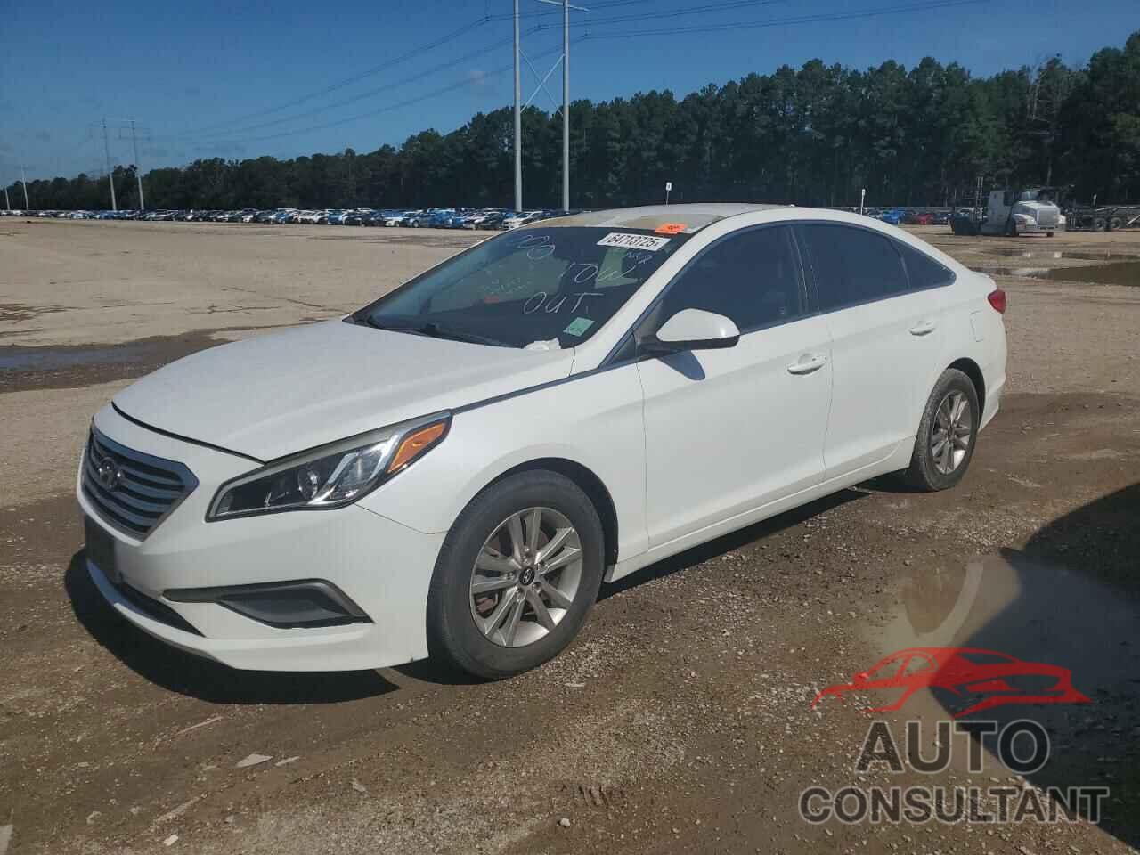 HYUNDAI SONATA 2017 - 5NPE24AF2HH543133