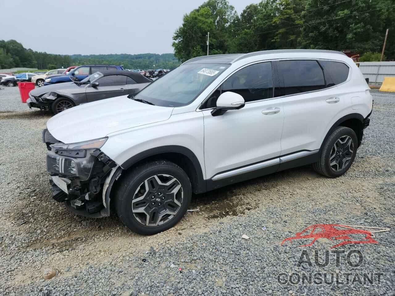 HYUNDAI SANTA FE 2021 - 5NMS4DAL1MH337635